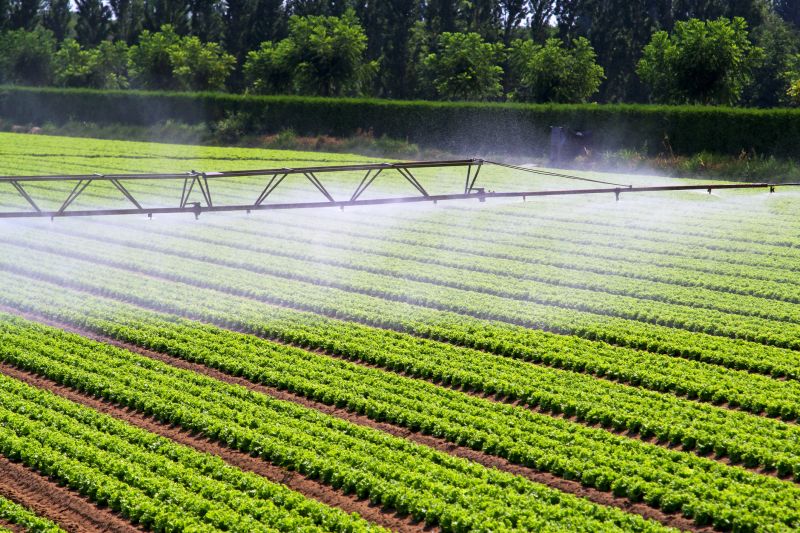 Crop Irrigation Installation in Honolulu, HI