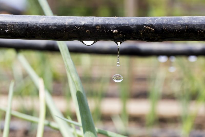Drip Irrigation Installation in Ventura County, CA