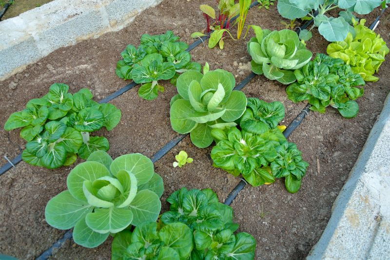 Inground Irrigation Service in Ventura County, CA