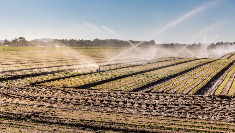 Irrigation Installation in Ventura County, CA
