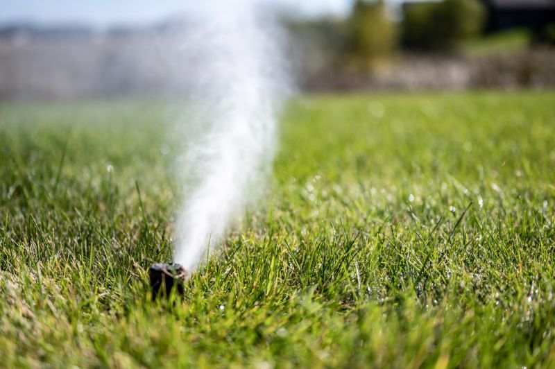 Irrigation Winterization in Reno, NV