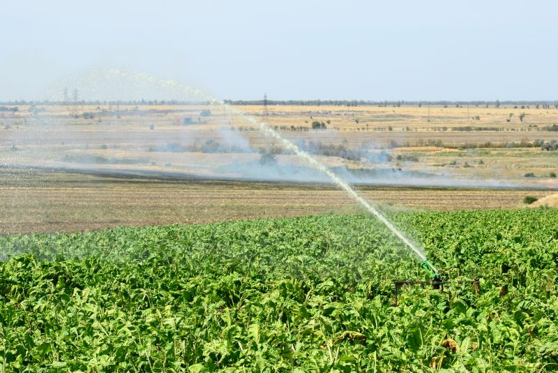 Mist Irrigation Installation in Aiken, SC