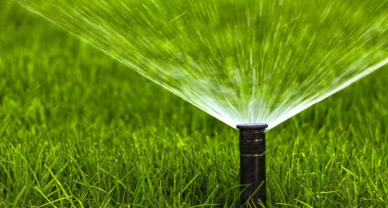 Sprinkler Head Repair in Honolulu, HI