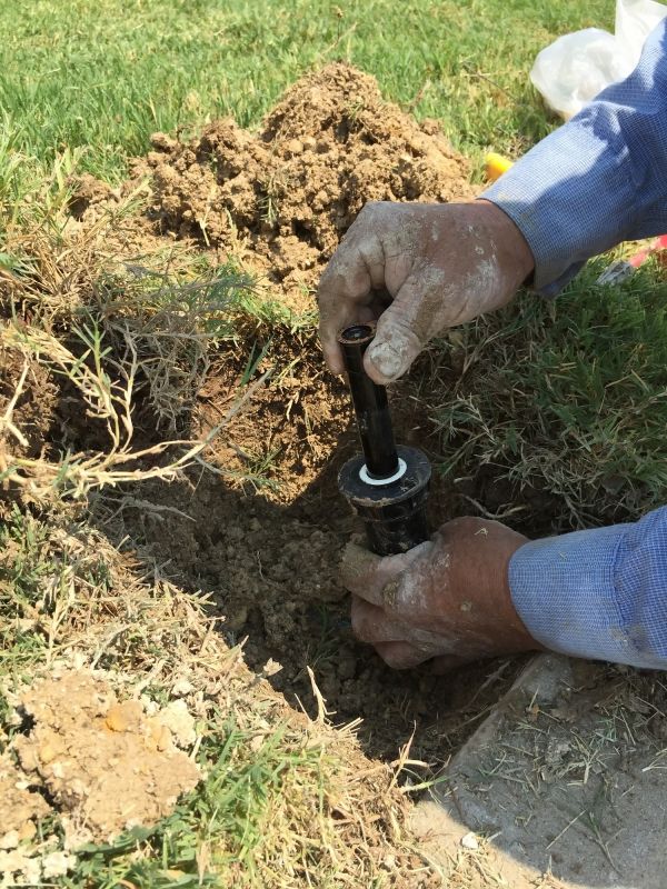 Sprinkler Head Replacement in Ventura County, CA