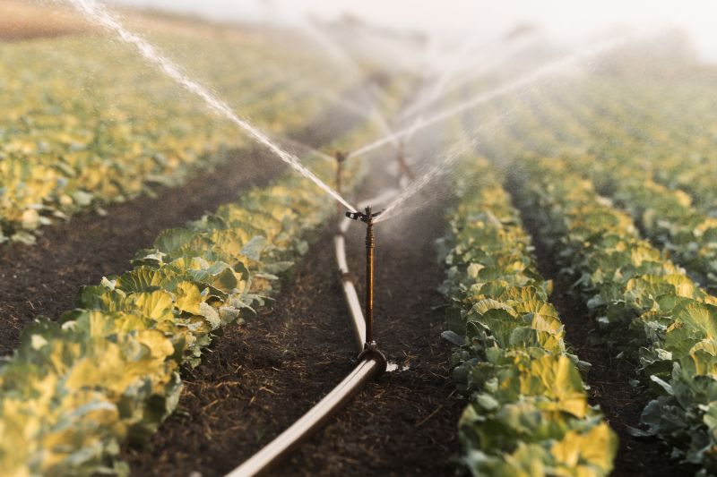 Yard Irrigation Installation in Ventura County, CA