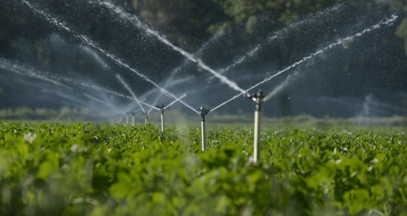Commercial Irrigation Service in Aiken, SC