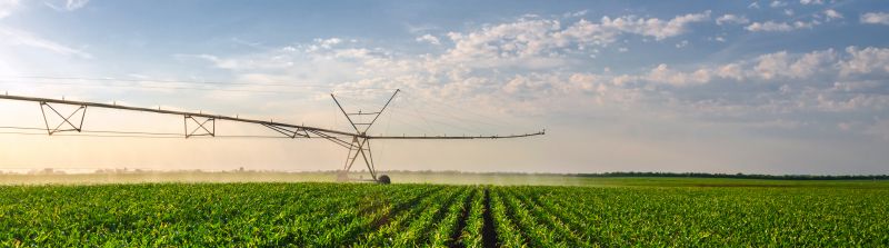 Crop Irrigation Installation in Honolulu, HI