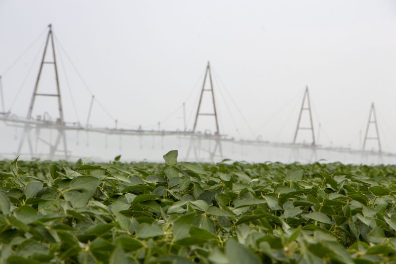 Crop Irrigation Installation in Aiken, SC