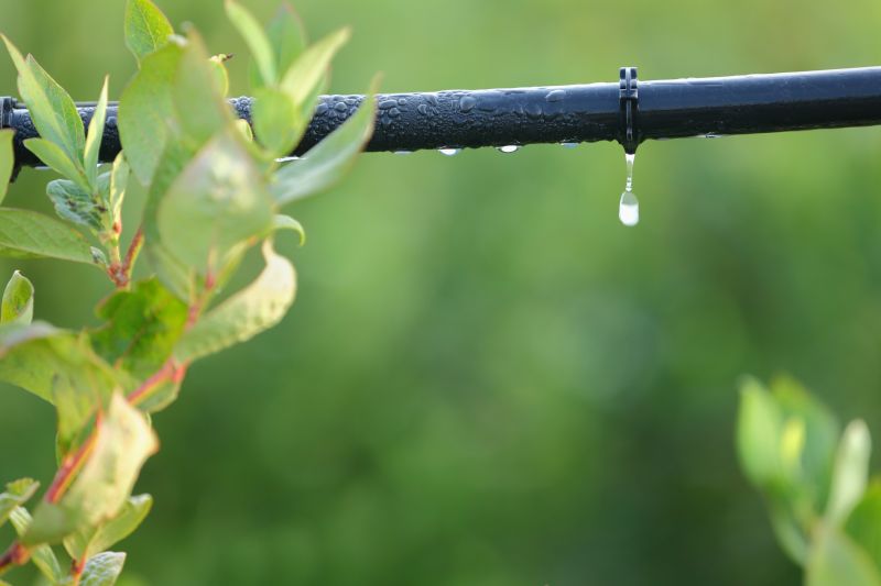 Drip System Installation in Ventura County, CA
