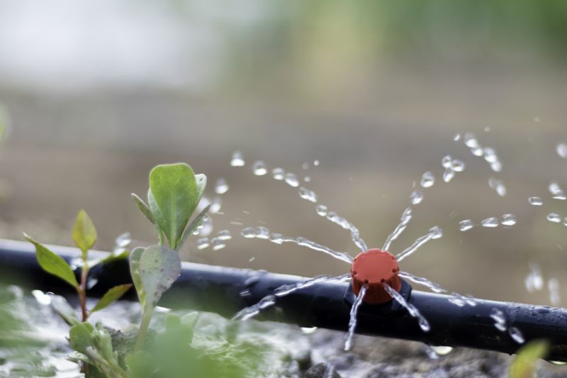 Drip System Installation in Honolulu, HI