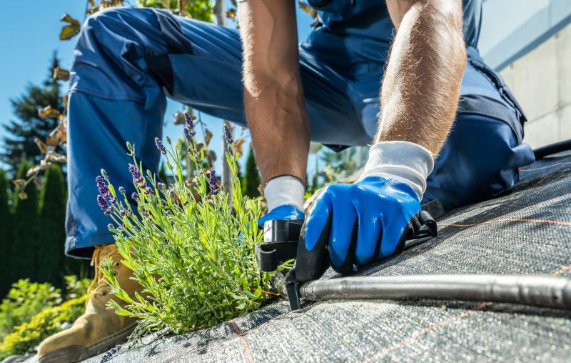 Garden Irrigation Installation in Aiken, SC