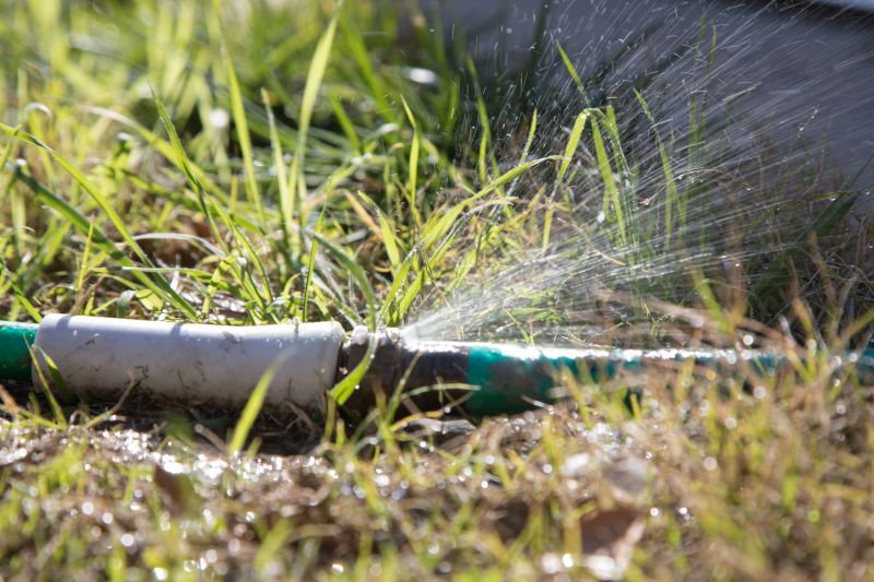 Grass Sprinkler Repair in Aiken, SC