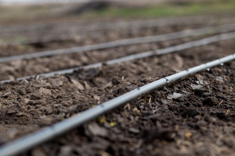Inground Irrigation Service in Aiken, SC