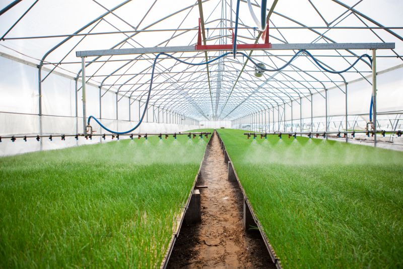 Irrigation Installation in Aiken, SC