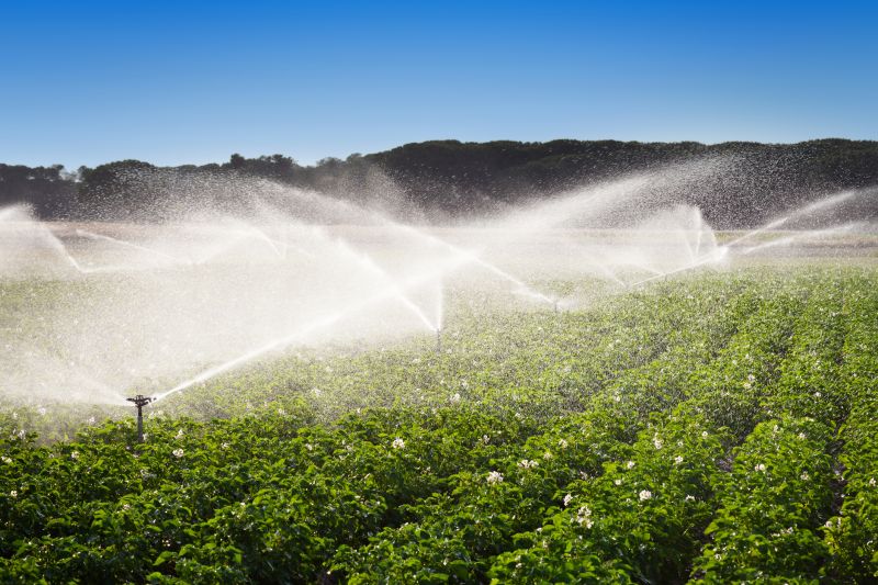 Irrigation Service in Ventura County, CA