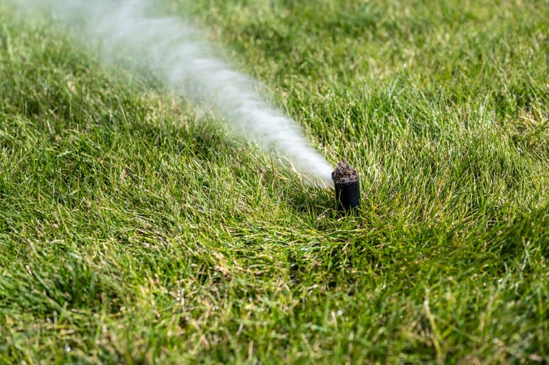 Irrigation Winterization in Carson City, NV