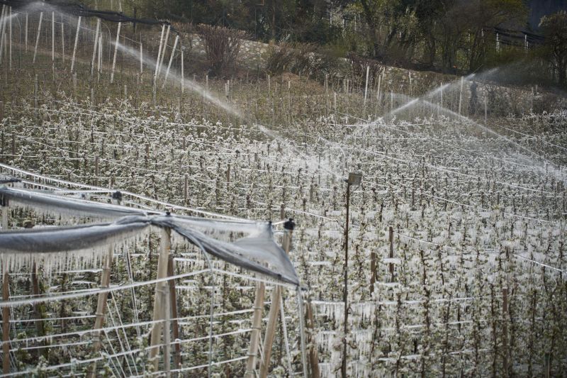 Irrigation Winterization in Reno, NV