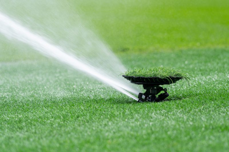 Lawn Sprinkler Installation in Honolulu, HI