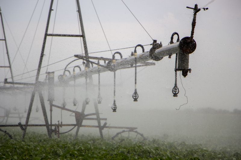 Mist Irrigation Installation in Ventura County, CA