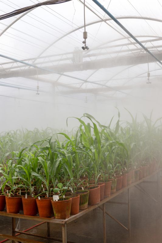 Mist Irrigation Installation in Honolulu, HI