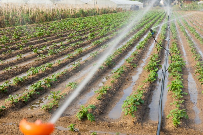 Plant Irrigation Installation in Honolulu, HI