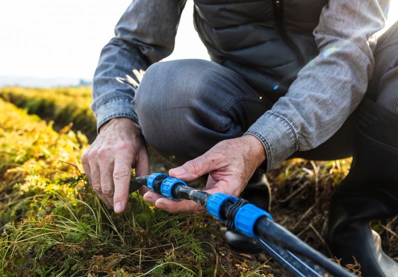Sprinkler Line Replacement in Ventura County, CA