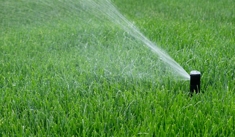 Sprinkler System Optimization in Aiken, SC