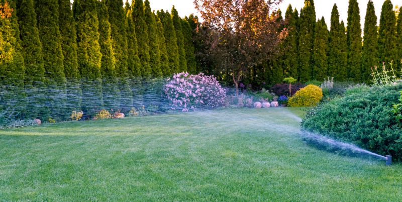 Sprinkler System Relocation in Aiken, SC