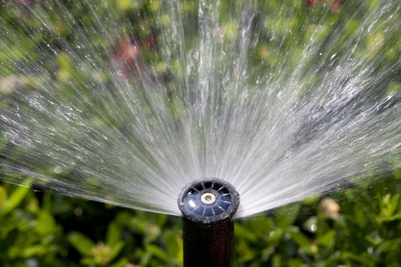 Sprinkler Winterization in Carson City, NV