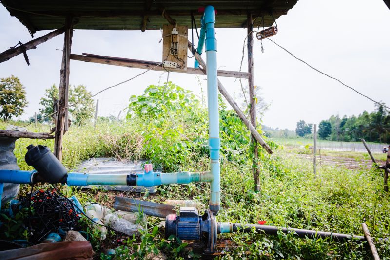 Yard Irrigation Installation in Honolulu, HI