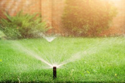 Yard Sprinkler Installation in Ventura County, CA